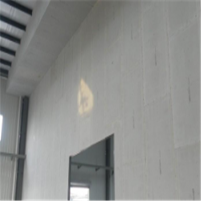 邯郸宁波ALC板|EPS加气板隔墙与混凝土整浇联接的实验研讨